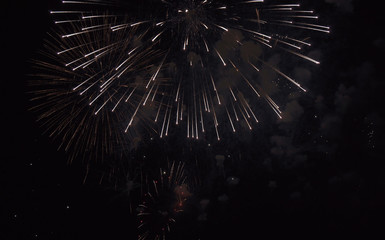 Colorful fireworks on the black sky background