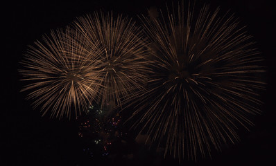 Colorful fireworks on the black sky background