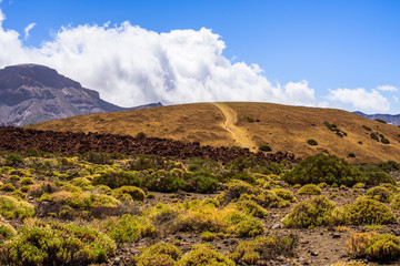 Great view in Las Cañadas del Teide National Park.  Tenerife. Canary Islands..Spain