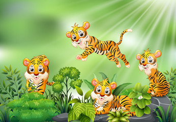 Fototapeta na wymiar Nature scene with group of tiger cartoon