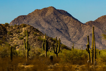 San Tan Mountain Regional Park