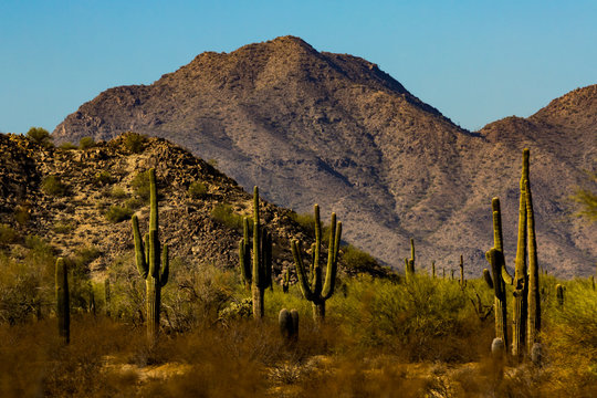 San tan 2024 mountain regional park