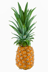 close-up of natural fresh fruit of pineapple, isolated on white background with clipping path