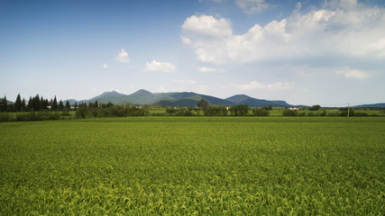 Autumn rural scenery in southern anhui province, China