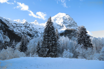 winter landscape with trees and snow