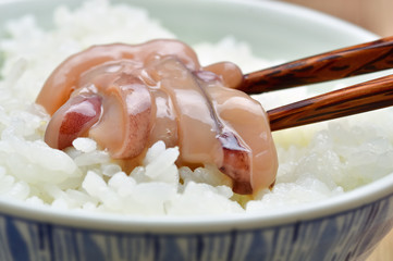 イカの塩辛と白ご飯