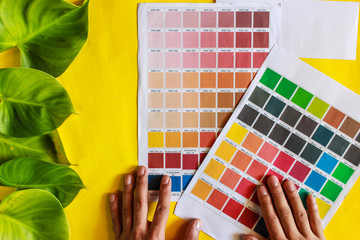 bright and colorful palette of different colors for design