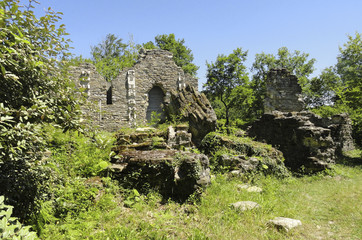 The ruins of an old fortress overgrown with forests