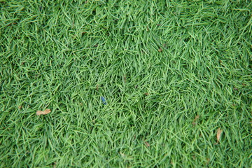 Artificial track and field with green grass combined with artificial grass