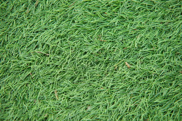 Artificial green grass close up macro