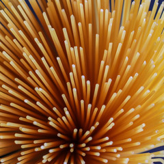 Yellow long spaghetti on a rustic background. Yellow italian pasta. Long spaghetti. Raw spaghetti bolognese. Raw spaghetti , Food background concept.