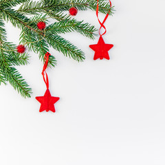 Christmas fir tree branch on white background