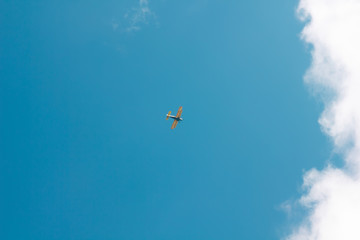 sun and cumulus white clouds against a beautiful blue sky, fly plane