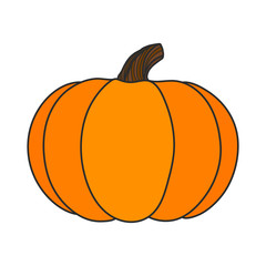 Halloween pumpkin. Autumn symbol. Hand drawn illustration vector.