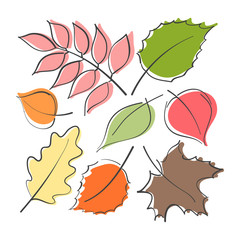 Colorful autumn leaves set. Fall concept decoration. Hand drawn illustration vector.