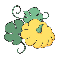 Patty pan. Yellow pattypan vegetables illustration vector. Hand drawn.