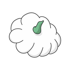 Patty pan vegetables illustration vector. Hand drawn.