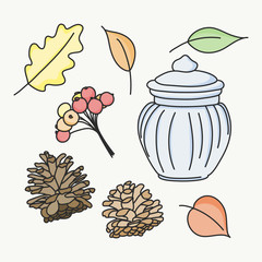 Set of cute autumn decoration object. Fall season concept. Colorful hand drawn leaves, berries, cones and glass jar. Illustration vector.