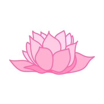 Pink water lily flower. Cute hand drawn illustration vector.