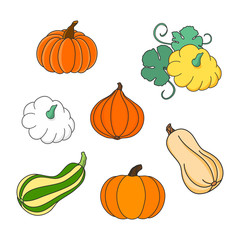 Colorful pumpkin, squash and gourd set. Hand drawn illustration vector.