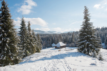 Winter woderland with chalet