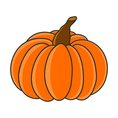 Halloween pumpkin. Autumn symbol. Hand draw illustration vector.