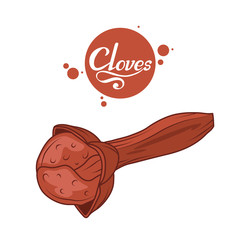 hand drawn cloves plant, spicy ingredient, cloves logo, healthy organic food, spice clove isolated on white background, culinary herbs, label, food, natural healthy food, vector graphic to design