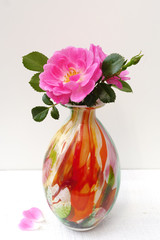 Pink dog rose in colorful glass vase