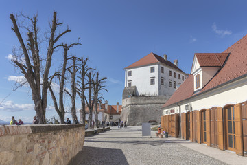 Fototapeta na wymiar Medieval castle Ptuj on a sunny winter day, Slovenia