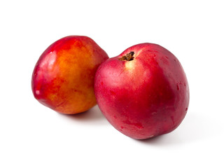 Two fresh red nectarine isolated on white background