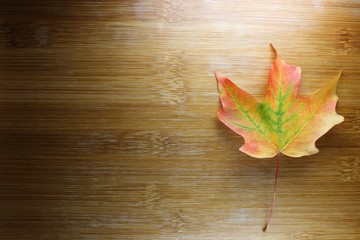 Naklejka na ściany i meble Single Autumn Maple Leaf on Wooden Background