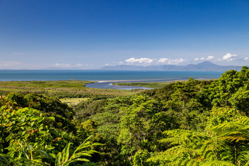 Daintree