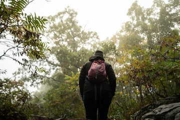 Active Woman Hiking through Scenic Dense Foggy Forest with Rocks and Dramatic Sunlight with Backpack on Running Trail. Devils Lake Wisconsin