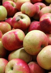 Apples Filling the Image