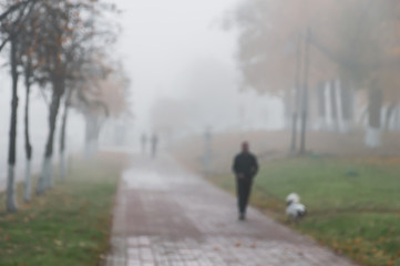 Man dog walk park fog morning blurred background