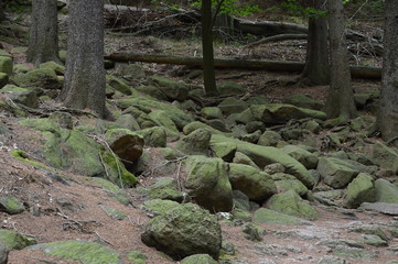 Herbst im Harz, Sachsen - Anhalt