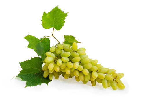 Cluster of the table white grapes with leaves
