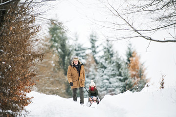 Grandfather and small girl sledging on a winter day.