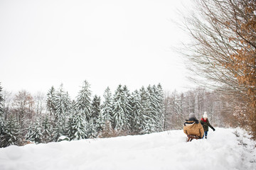 Grandfather and small girl sledging on a winter day.