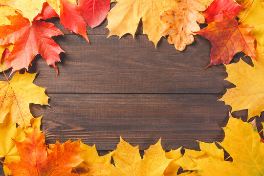 Colorful autumn leaves foliage on dark wooden texture background. Free space for your text.