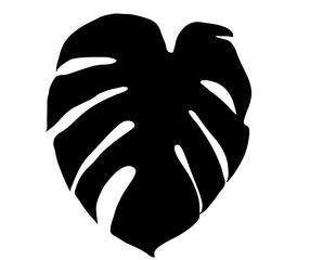 isolated silhouette palm leaf