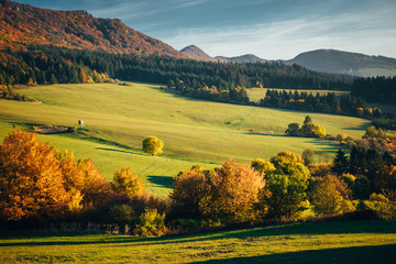 Colorful autumn landscape