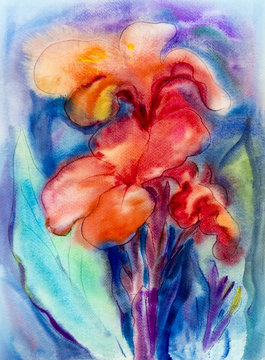 Watercolor landscapel painting on paper colorful of canna lily flower