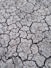 Dry soil