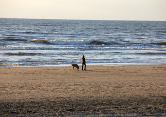  A woman with a dog walking on a sunny day along the beach in Katwijk. Netherlands