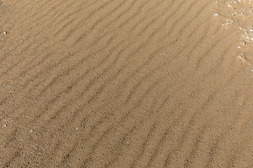 Sand ripple naturally formed by the low tide on the beach.