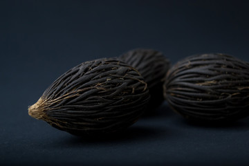 Among these exotic Foxtail palm seeds. Wodyetia bifurcata. Black, brown amazing seeds on black...