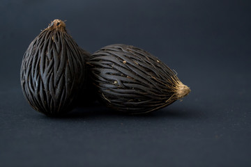 Among these exotic Foxtail palm seeds. Wodyetia bifurcata. Black, brown amazing seeds on black...
