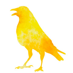  white background, watercolor silhouette bird, crow
