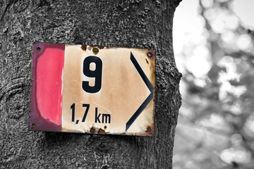 Wegweiser an einem Wanderweg in Karlovy Vary in Tschechien 